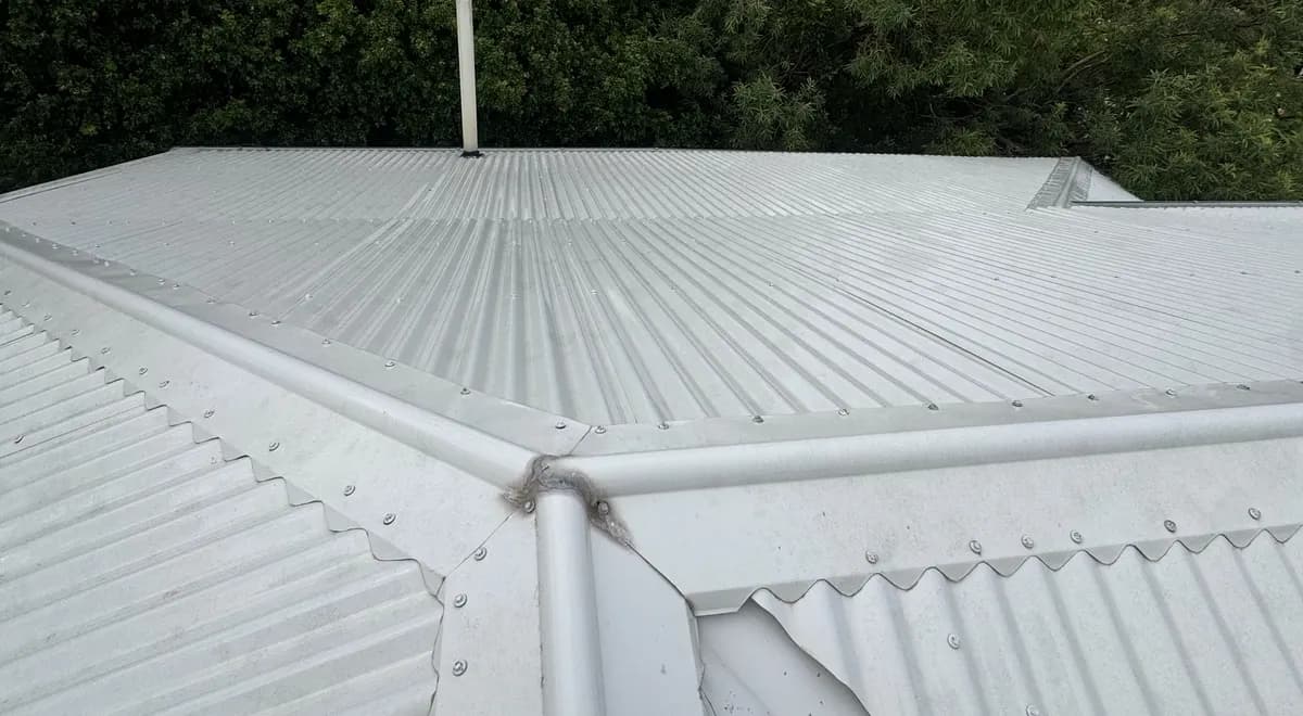 Roof Wash after